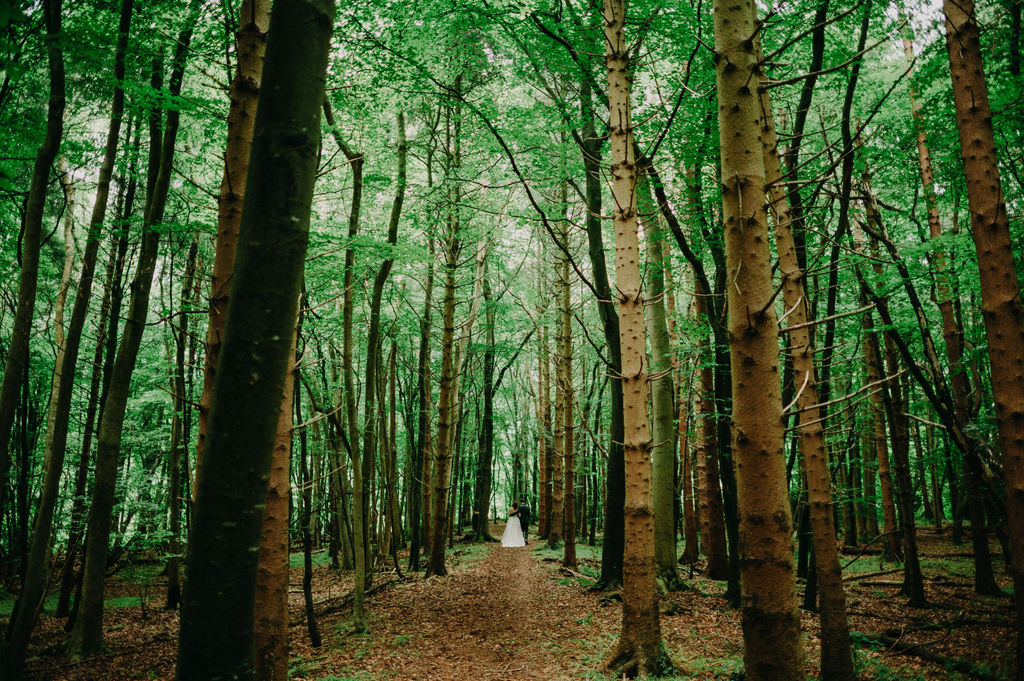 Ancient Ruin Destination Elopement in Ireland