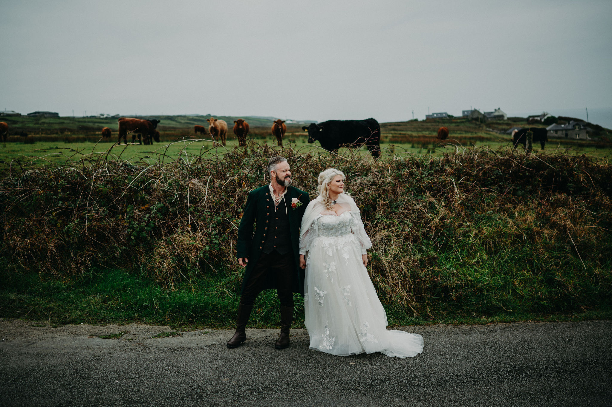 Destination wedding couple in Ireland posing beside Irish countryside with cows during their elopement.